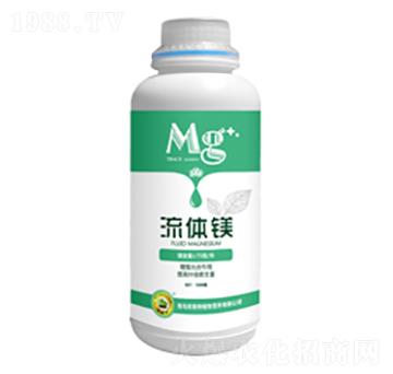 ���w�V-�W����