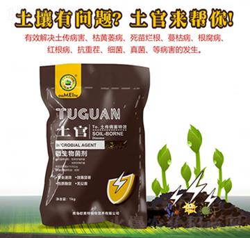 ΢�������-����-�W����