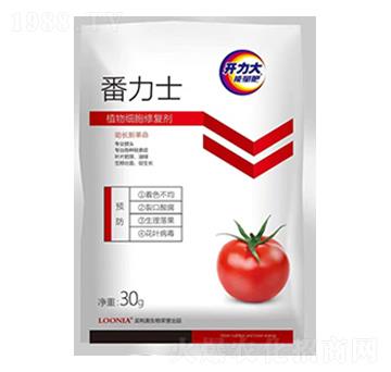 ֲ�：���ޏ�(f��)��-����ʿ-�����W