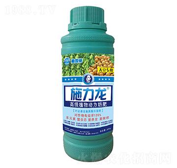 �󶹌����~���-ʩ����-�G����