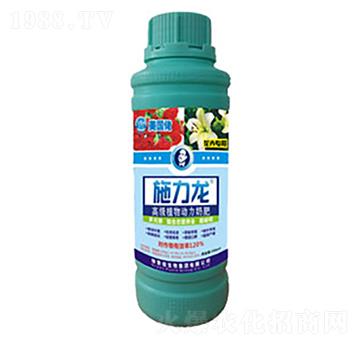 ���܌����~���-ʩ����-�G����