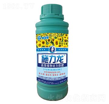 ���������~���-ʩ����-�G����