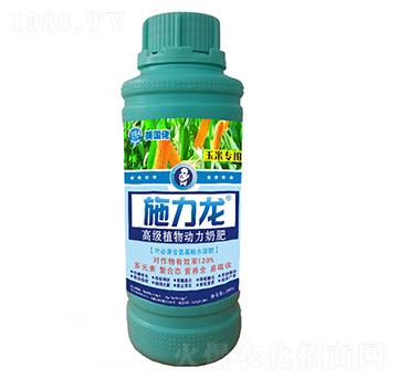 ���׌����~���-ʩ����-�G����