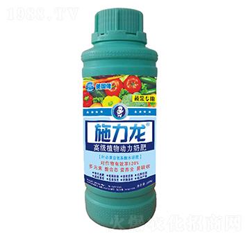 �߲ˌ����~���-ʩ����-�G����