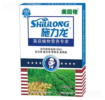 �����л��������~���-ʩ����-�G����