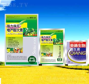 �������a(ch��n)�����-��������