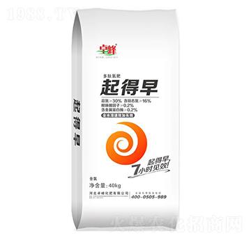 30%���ĵ���-�����-׿��