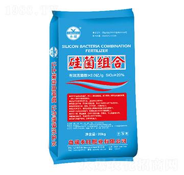 ����M��-�����ʘI(y��)