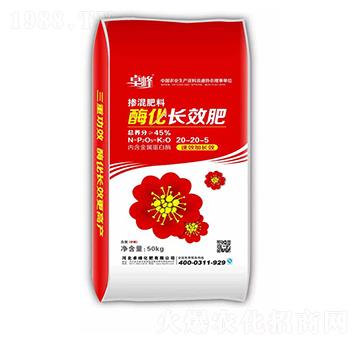 ø���LЧ��20-20-5-׿��