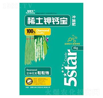 ϡ����}��-��������