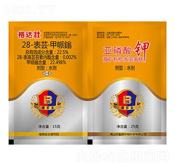 28-���|�������f+�������-���_��-ӯ�x