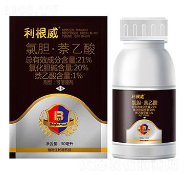 21%��đ��������-������-ӯ�x