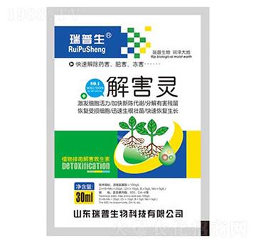 �⺦�`-��������