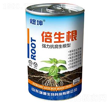 ��������������-������-��������