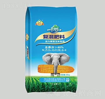 �����������׌��Ï�(f��)�����28-6-6-���r(n��ng)��-���r(n��ng)�ʘI(y��)