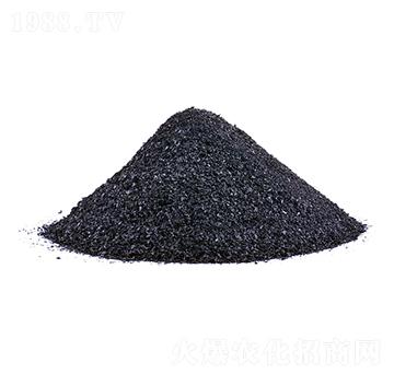 Ƭ�ֲ���-�𺣵|