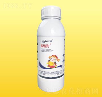 ���Bؔ(c��i)������-��������