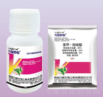 �������՚�����-��������