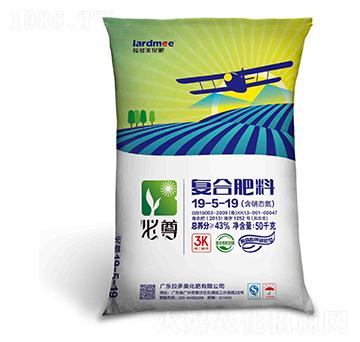 �����͏ͺϷ���19-5-19-����-������