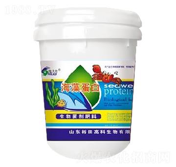 ���嵰��-ʩ����-ԣ��߿�