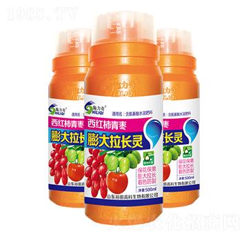 ���t������������L(zh��ng)�`-ʩ����-ԣ��߿�