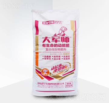 �ͺ�΢�������-��܊���ۄ�-���A����