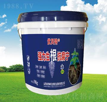 ��(qi��ng)������������-�������