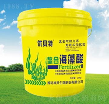 ���Ϻ�����-��(y��u)ؐ��-�������