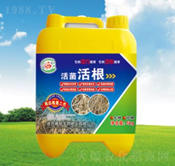 ������Ͱ��-�������