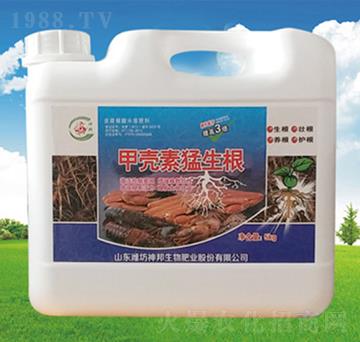 �ך���������-�������