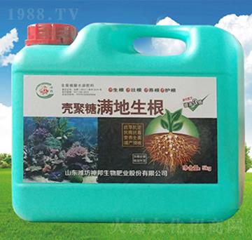 �����ǝM������-�������