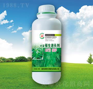 �~�˴������L��-�������