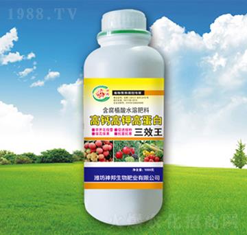 ���}��⛸ߵ���-�������