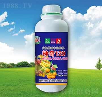 ����210-�������