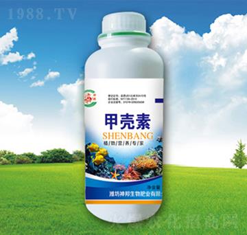 ƿ�b�ך����~���-�������