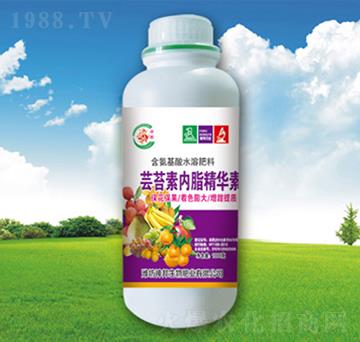 �|̦�؃�(n��i)֬���A��-�������