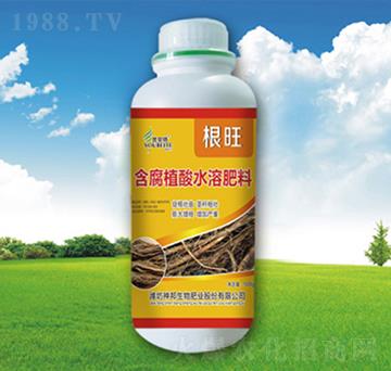 ����ֲ��ˮ�ܷ���-����-�������