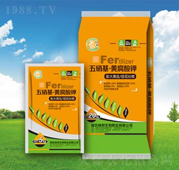 ������-�S�����-�������