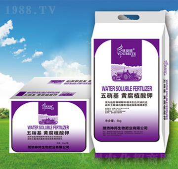 �������S�����-�������