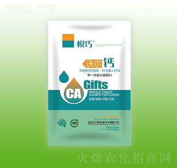 �֠��}-����-�f(w��n)���_(d��)