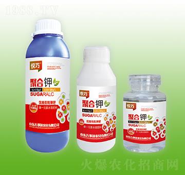 �ۺ��-����-�f(w��n)���_(d��)