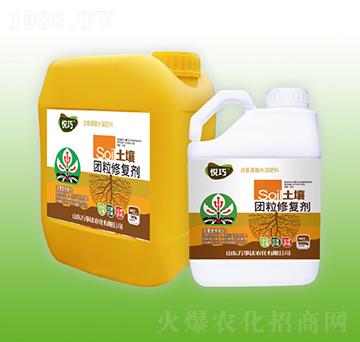 �����F(tu��n)���ޏ�(f��)��-����-�f���_(d��)