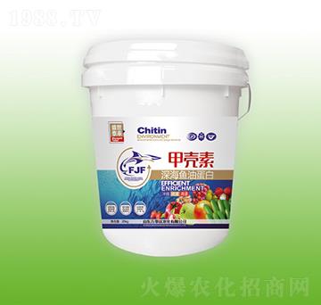 �ך�����~�͵���-ʢ��̩��-�f���_(d��)