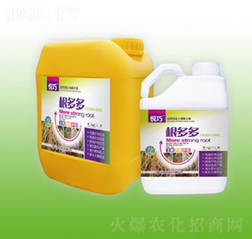 �����-����-�f���_