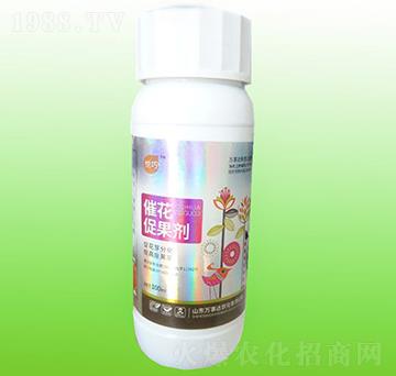 �߻��ٹ���-����-�f���_