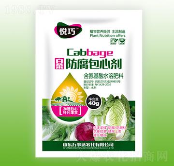 �ײ˷������Ą�-����-�f(w��n)���_(d��)