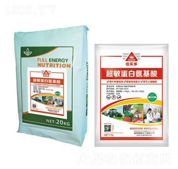 �ь��೬�����װ�����-����