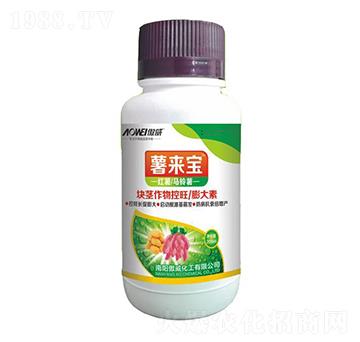 �K�o������������-��팚-����