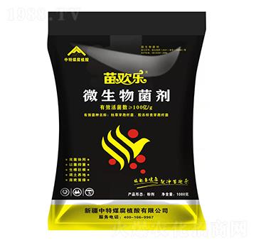 ΢�������-��g��-����ú