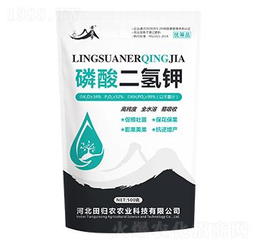 ��������-�S����(m��ng)-��w�r(n��ng)